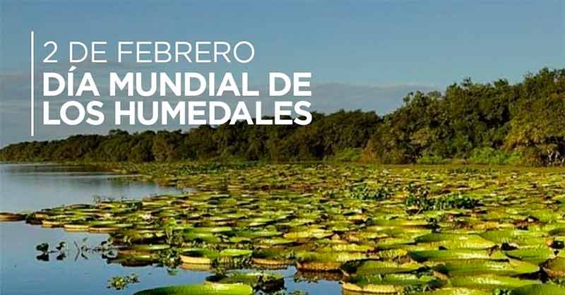 Read more about the article Día Mundial de los Humedales | 2 de febrero 2022