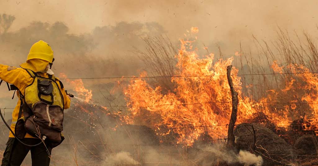 Lee más sobre el artículo El cambio climático ya está con nosotros