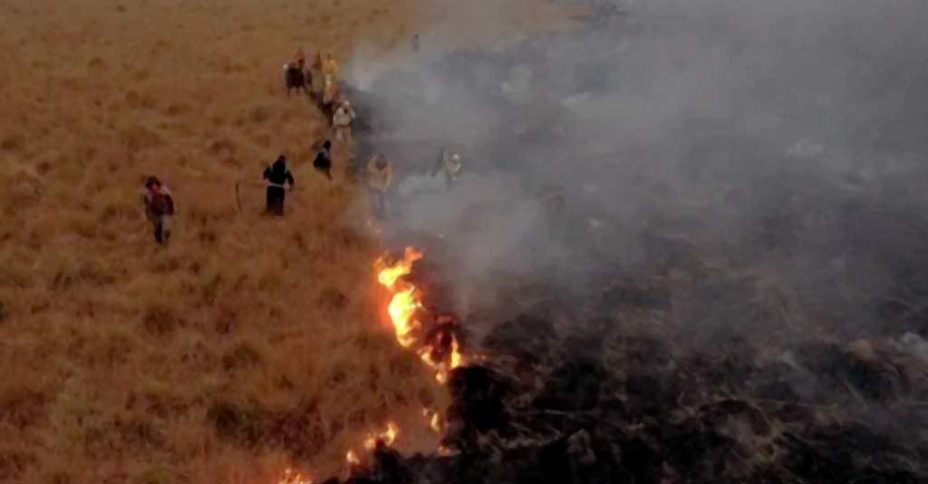 Lee más sobre el artículo Lamento por el fuego en Corrientes