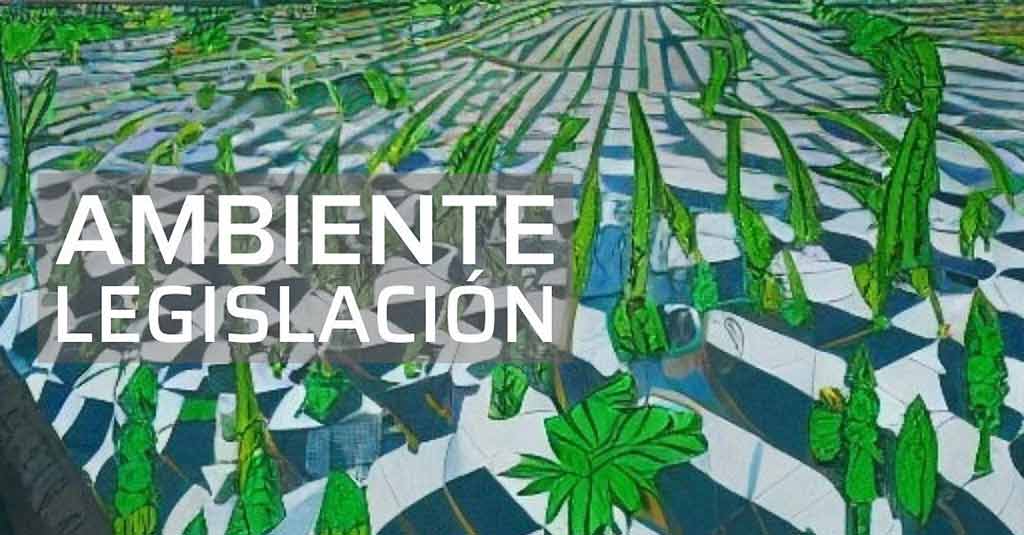 Lee más sobre el artículo A un año de la aprobación de la Ley 1420 del siglo XXI