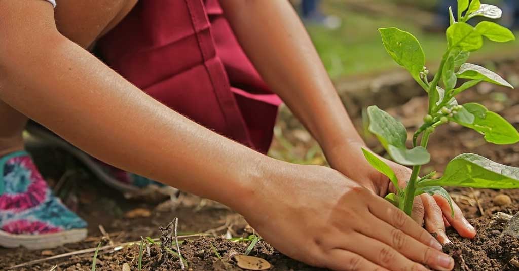 Lee más sobre el artículo Día Mundial del Medio Ambiente | 5 de junio